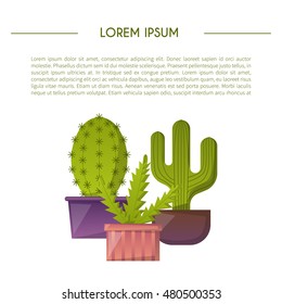 Vector illustration with cartoon cactus background. Vector house plant in flowerpot, home interior card. Desert mexican succulent. Home flowers cartoon indoor objects. Cactus store icon