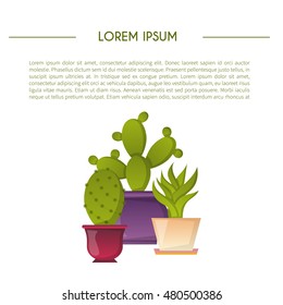 Vector illustration with cartoon cactus background. Vector house plant in flowerpot, home interior card. Desert mexican succulent. Home flowers cartoon indoor objects. Cactus store icon