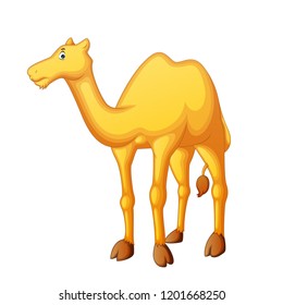 Vector illustration of cartoon camel