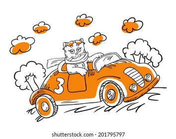 Vector illustration with cartoon cat in a car.