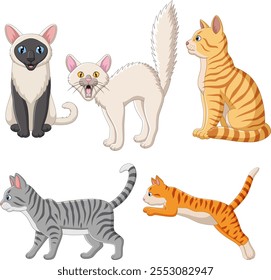 Vector illustration of cartoon cat collection set