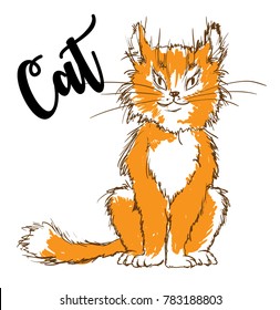 Vector illustration. Cartoon cat isolated on white background. Cute orange cat.