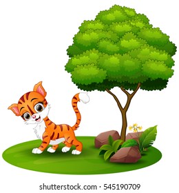 Vector illustration of Cartoon cat under a tree on a white background