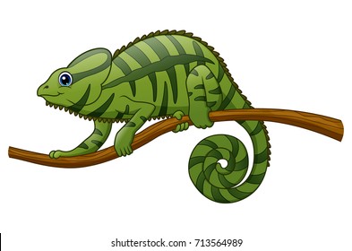 Vector illustration of Cartoon chameleon on a branch