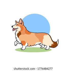 vector illustration cartoon character dog cute funny welsh corgi pembroke on white background