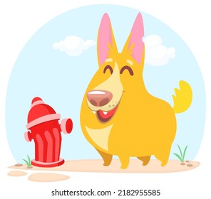 Vector illustration. Cartoon Corgi standing next to fire hydrant.  Cute dog breed Welsh Corgi Pembroke cartoon.