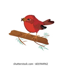 Vector illustration of cartoon cute bird. Red crossbill. mascot
