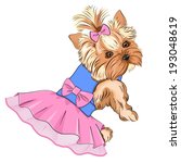 Vector Illustration of cartoon cute fashion dog ( purebred Yorkshire Terrier/ pocket dog) in fluffy dress with lace skirt and big pink bow in her back and little bow in her hair