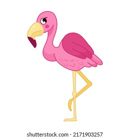 Vector illustration of cartoon cute flamingos isolated on white background. 