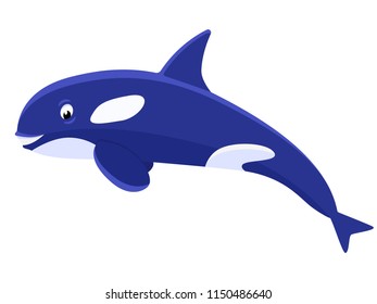 Vector illustration of a cartoon cute killer whale. Isolated white background.