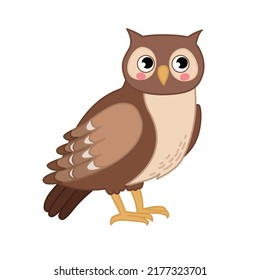 Vector  illustration of cartoon cute owl isolated on white background. 
