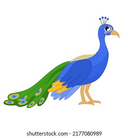 Ilustración vectorial de la caricatura lindo pavo real aislado en fondo blanco. 