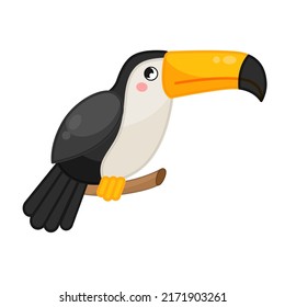 Vector illustration of cartoon cute toucan isolated on white background. 