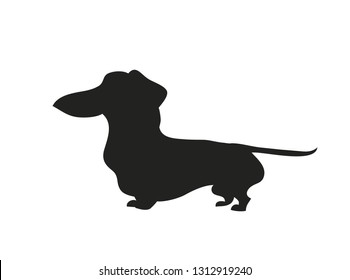 Vector illustration of a cartoon dachshund that stands, silhouette drawing. white background.