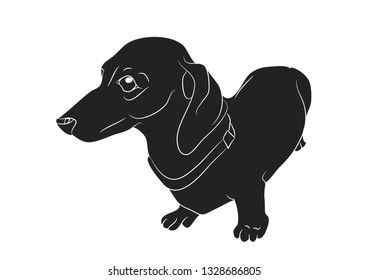 Vector illustration of a cartoon dachshund that stands, silhouette drawing, white background.