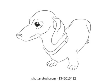 Vector illustration of a cartoon dachshund that stands drawing with lines, white background.