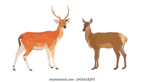 Ilustración vectorial de dibujos animados Venado, lindo conjunto de animales de la selva salvaje.