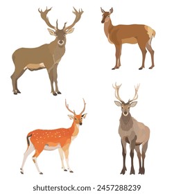 Vector illustration of cartoon Deer, cute wild forest animals set.