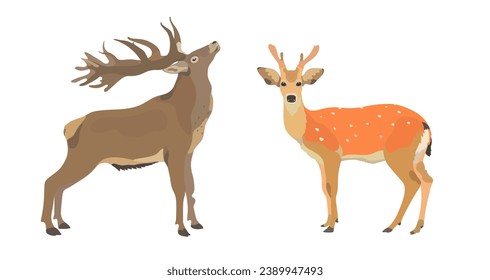 
Vector illustration of cartoon deer and red elk cute wild animals.
