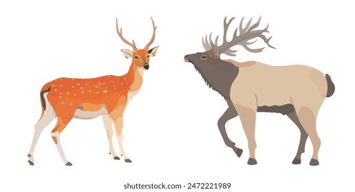 Vector illustration of cartoon deer and red elk cute wild animals.