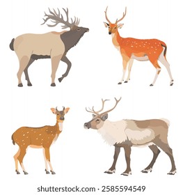 Vector illustration of cartoon Deer, Reindeer and red Elk, isolated on white. Cute wild animals set.