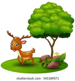 Vector illustration of Cartoon deer under a tree on a white background