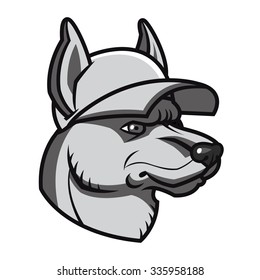 Vector illustration cartoon dog in cap - sports mascot character face