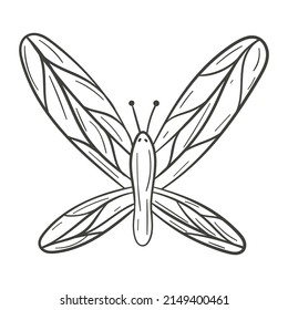 Vector illustration of cartoon doodle isolated butterfly.