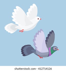 Vector illustration of cartoon dove and pigeon flying 