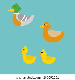 Vector illustration of cartoon duck family: duck-father, duck-mother and their children