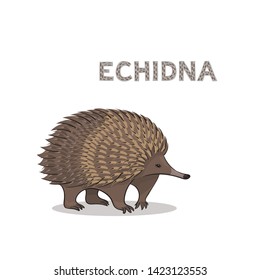 Vector illustration, a cartoon echidna, isolated on a white background. Animal alphabet.