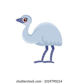 Vector illustration of cartoon emu/ Isolated on white.

