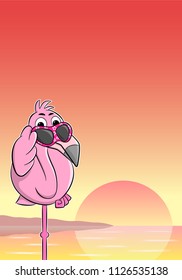 vector illustration of a cartoon flamingo with sunglasses