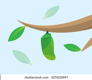 Butterfly Cocoon Stock Vectors, Images & Vector Art | Shutterstock