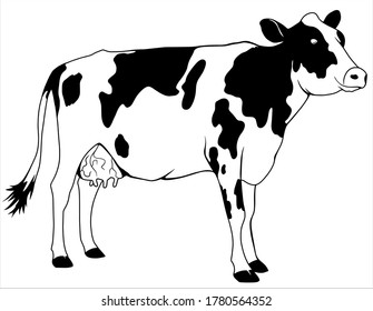 Ilustración vectorial en estilo plano de caricatura.