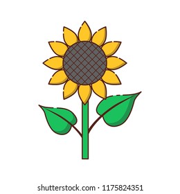 Vector illustration with cartoon flat yellow sunflower icon isolated on background. Nature garden flower design. Gardening icon