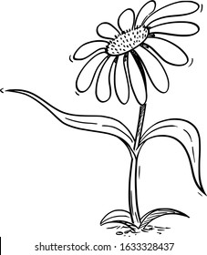 Vector illustration of cartoon flowering daisy plant character showing or pointing at something by leaf. Ecology or nature advertisement or marketing design.