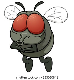 Vector illustration of cartoon fly