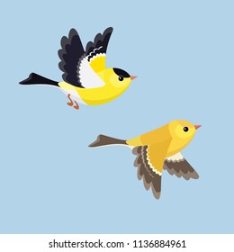 
Vector illustration of cartoon flying American Goldfinch pair 