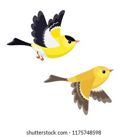 Vector illustration of cartoon flying American Goldfinch pair isolated on white background 