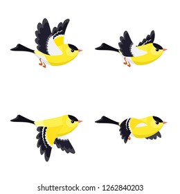 
Vector illustration of cartoon flying American Goldfinch (male) sprite sheet isolated on white background. Can be used for GIF animation