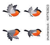 Vector illustration of cartoon flying bullfinch animation sprite isolated on white background