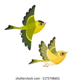 
Vector illustration of cartoon flying European Siskin pair isolated on white background 