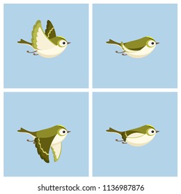 Vector illustration of cartoon flying Goldcrest (female) sprite sheet. Can be used for GIF animation 