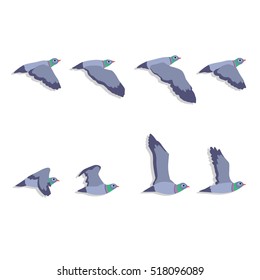 Vector illustration of cartoon flying pigeon animation sprite. Bird animation.