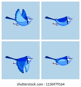 Vector illustration of cartoon flying Splendid Fairy Wren (male) sprite sheet. Can be used for GIF animation