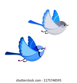 Vector illustration of cartoon flying Splendid Fairy Wren pair isolated on white background 