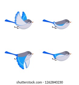 
Vector illustration of cartoon flying Splendid Fairy Wren (female) sprite sheet isolated on white background. Can be used for GIF animation