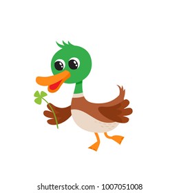 Vector illustration of cartoon funny duck isolated on white background. Cute, funny animal, bird character eating clover used for magazine, book, poster, card, web pages.