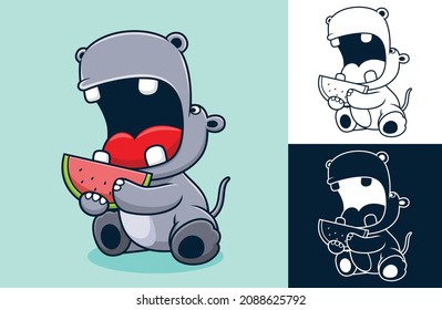 Vector illustration of cartoon funny hippo eating watermelon